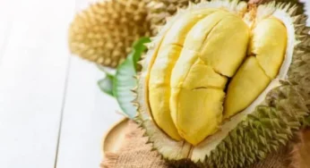 “Durian: Bukan Hanya Enak, tapi Juga Sehat!”