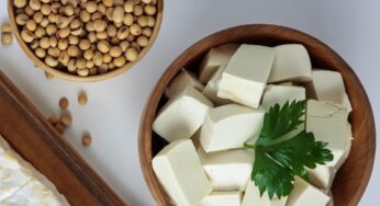 Diet Portfolio Cara Alami Turunkan Kolesterol