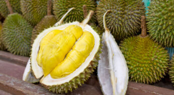 Ekspor Durian RI Tumbuh, Tembus Rp 56,5 Miliar